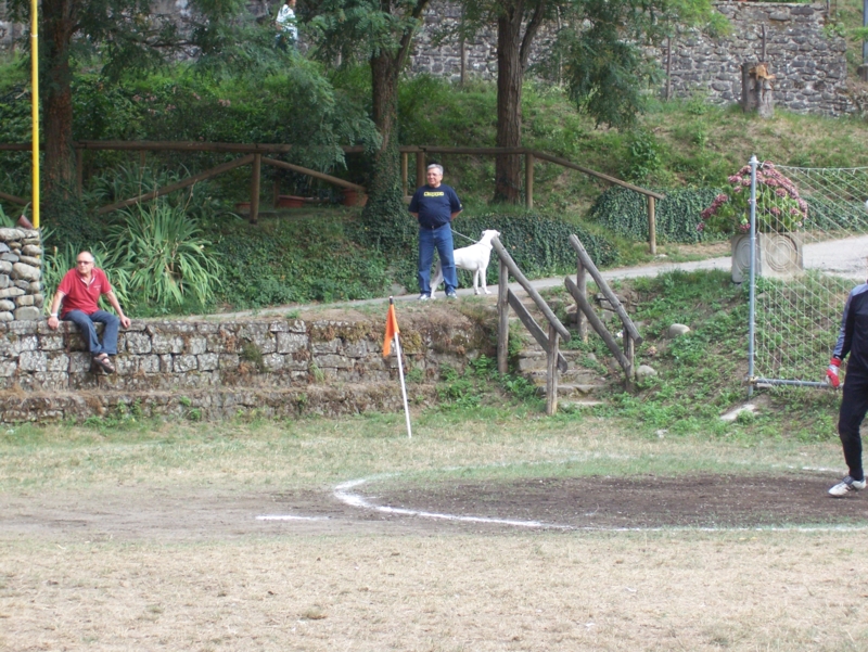  Image name: Calcio49.jpg 
 width: 800 pixel 
 height: 601 pixel 
 Size: 512142 bytes 
 Click to enlarge 